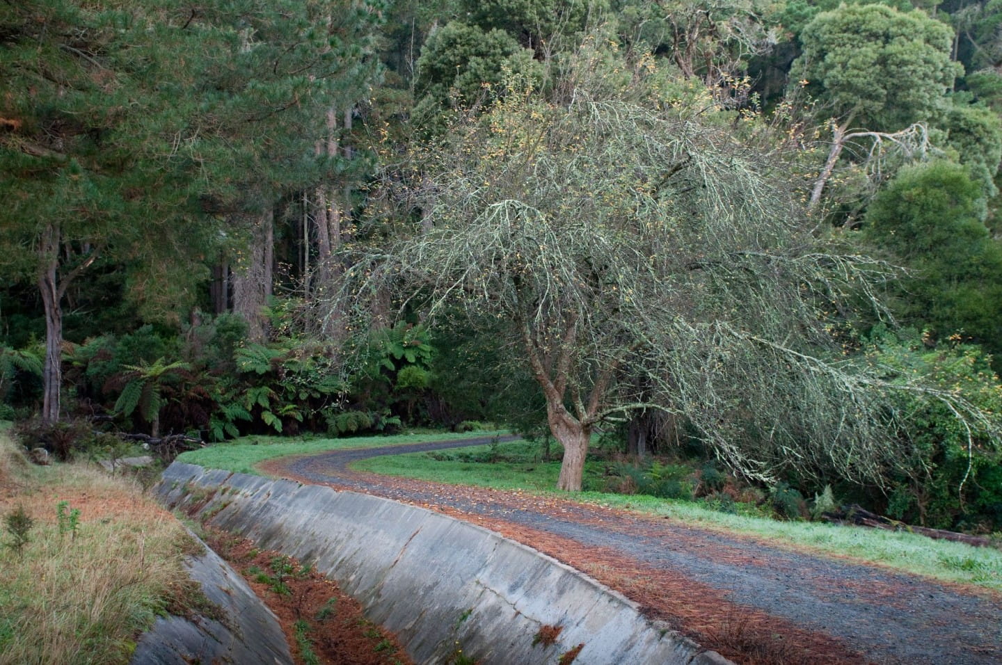 Aquaduct Trail