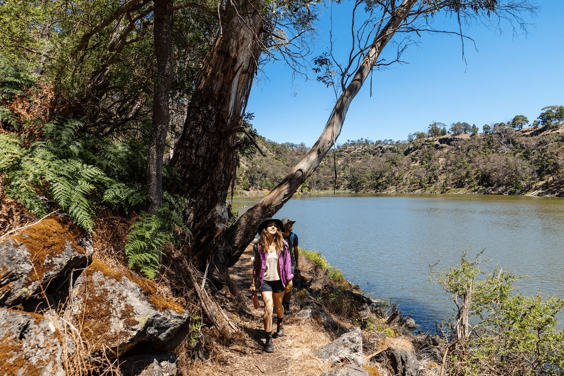 Walkers in park close to a body of water