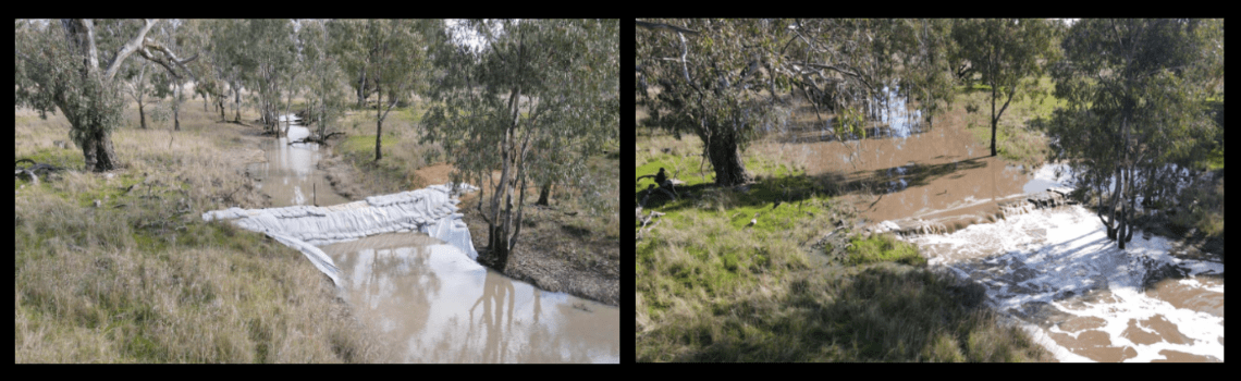 Before and after images of water rushing over the sandbag structure at Rowan Swamp