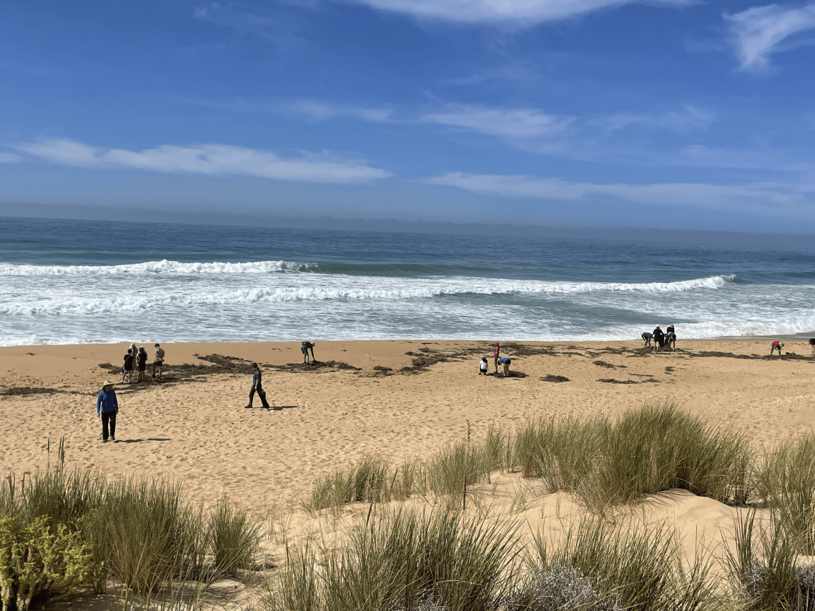 A faraway shot of many scouts on the beach picking up rubbish