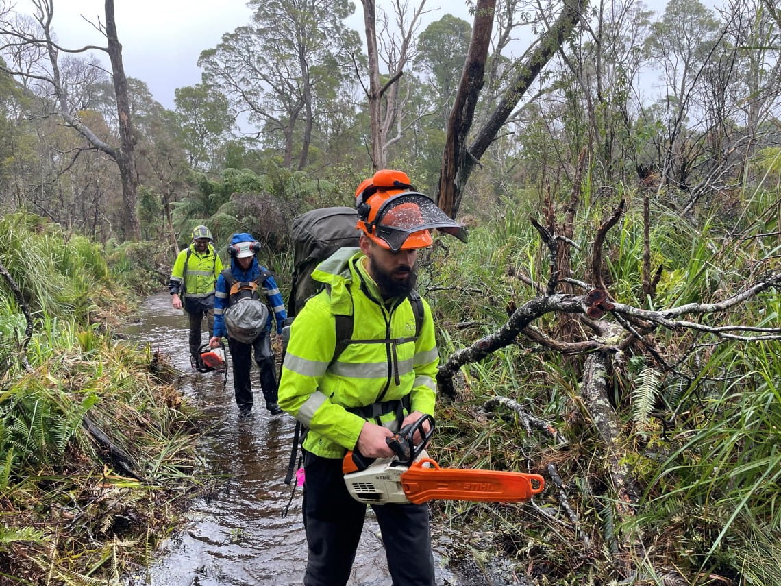 A group of people in high visibility vests, one carrying a chainsaw, walk along a flooded path through forest in driving rain.