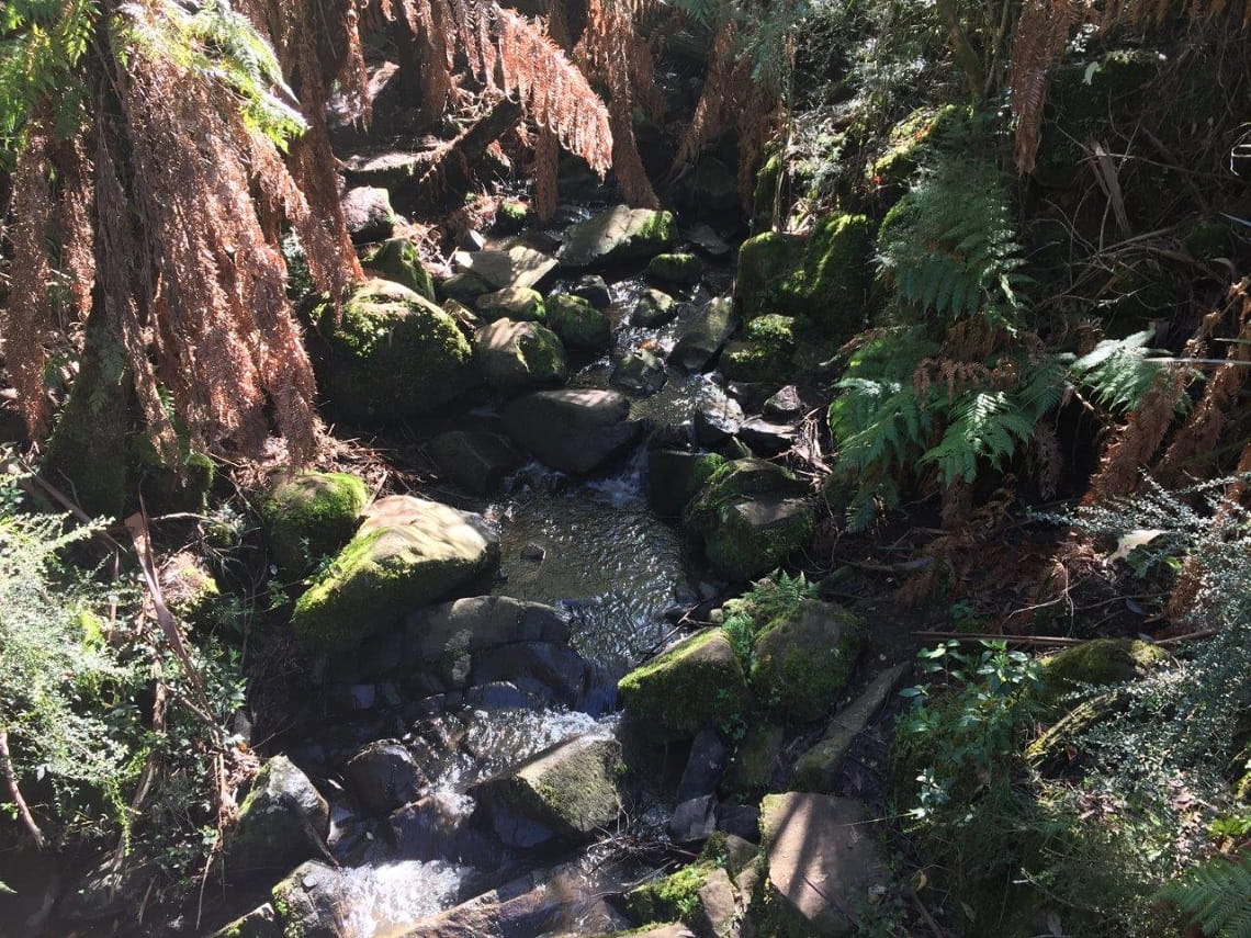 Sherbrooke Falls - post 2021 storms