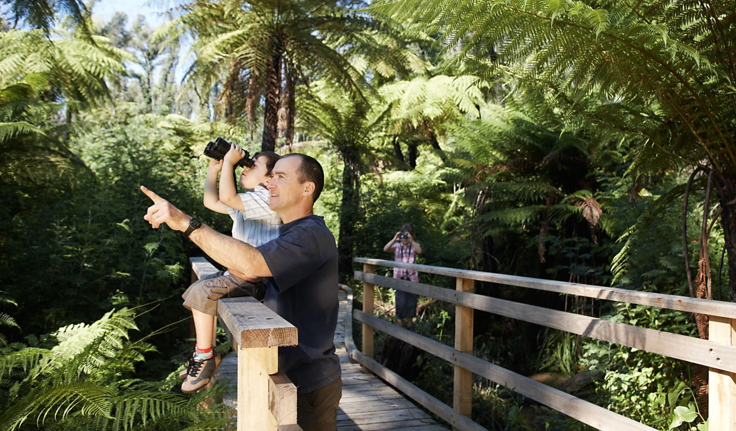 A father and son birdwatching in a forest.