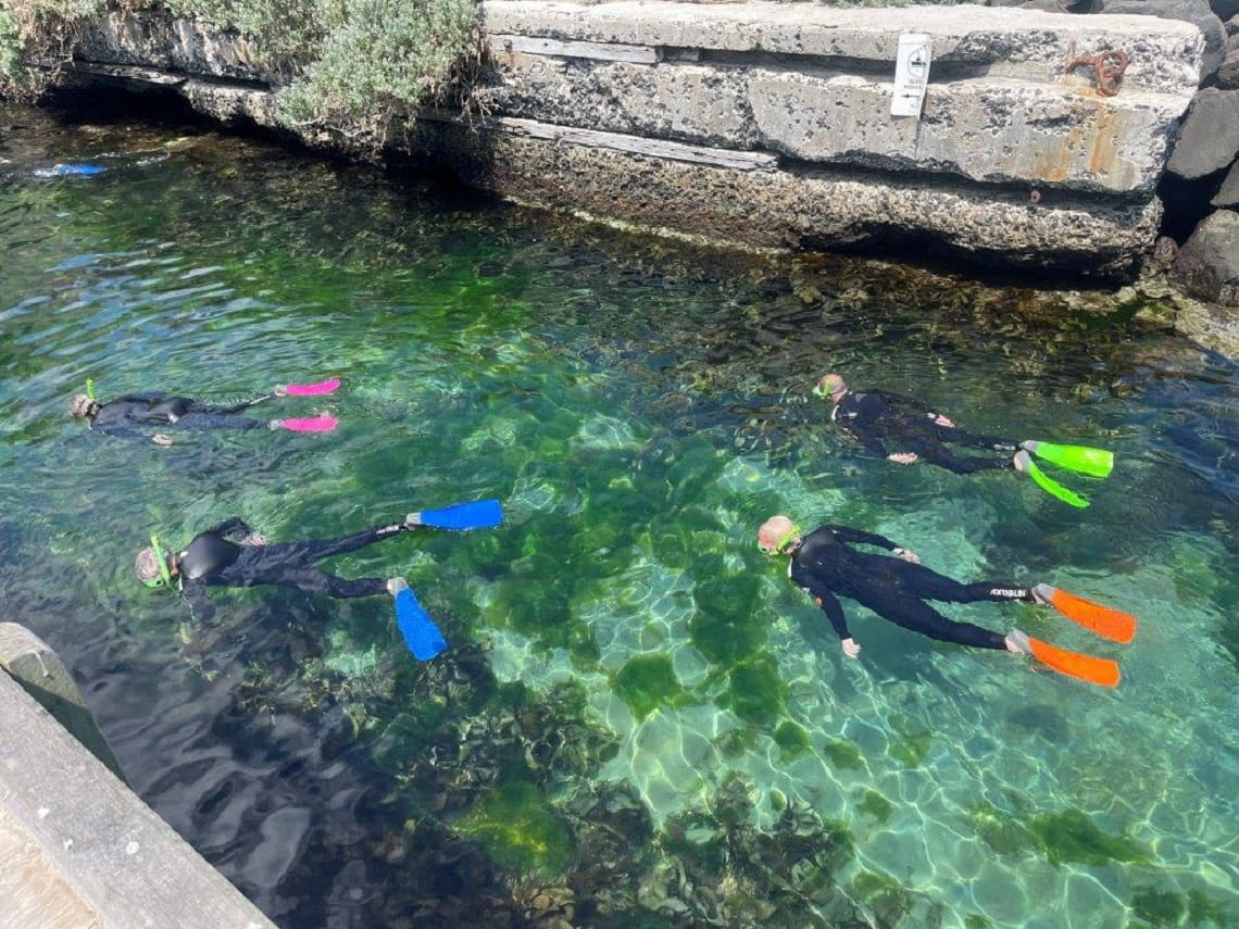 Current and ex-serving veterans snorkeling at Portsea, Bunurong Country