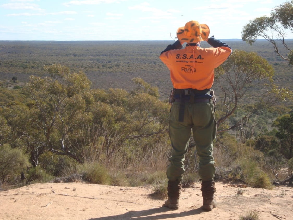 Sporting Shooter volunteer wearing high-visitbility shirt stands on a lookout with binoculars, overlooking a tree-filled and shrubby green landscape of Murray Sunset National Park