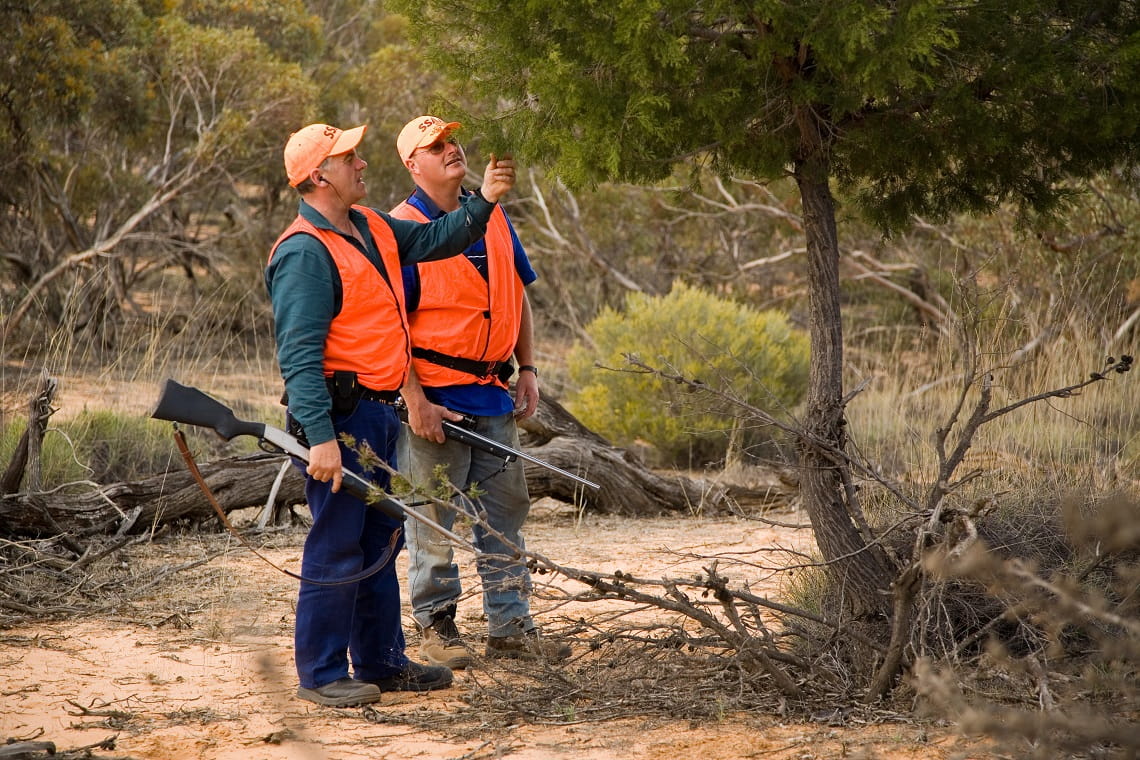Two male Sporting Shooters volunteers stand in front of a tree, both looking up. Behind them is the dense shrub of the Mallee desert landscape.