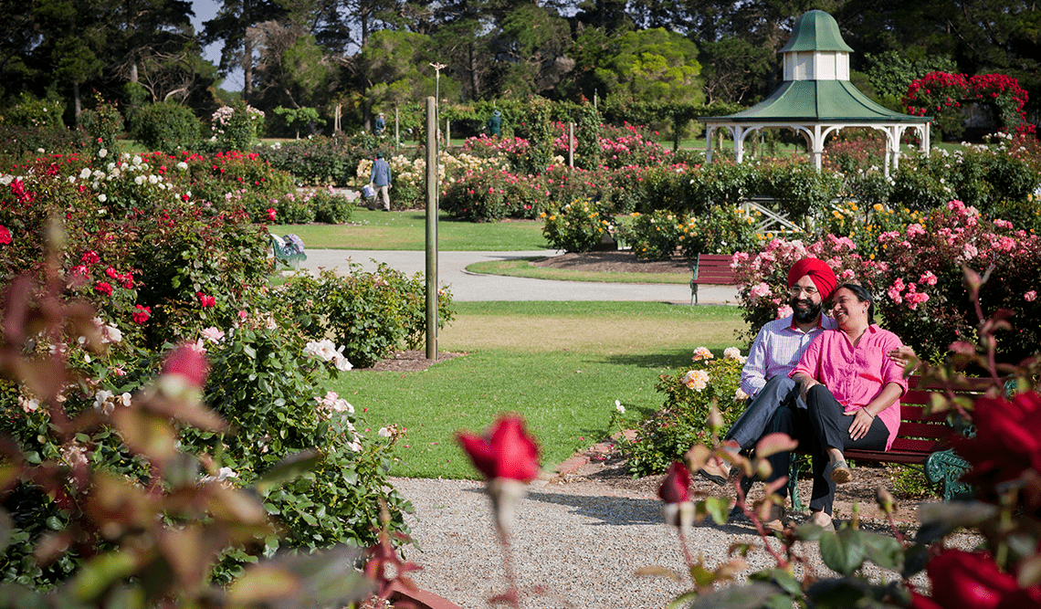 State Rose Garden in Werribee Park 