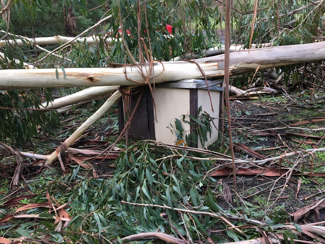 Storm damage to Kerry Road picnic area at Morwell National Park