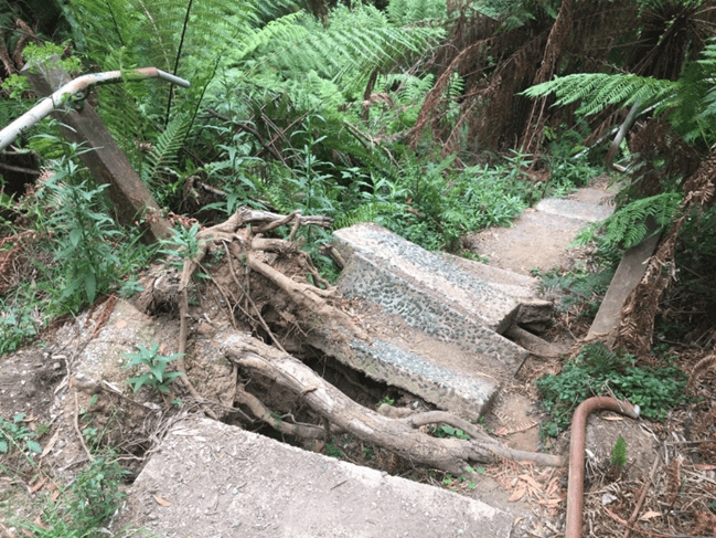 Damage to the 1000 Steps