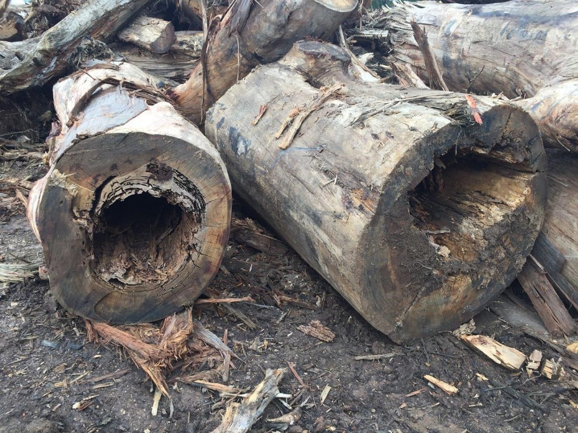 Storm recovery - logs 