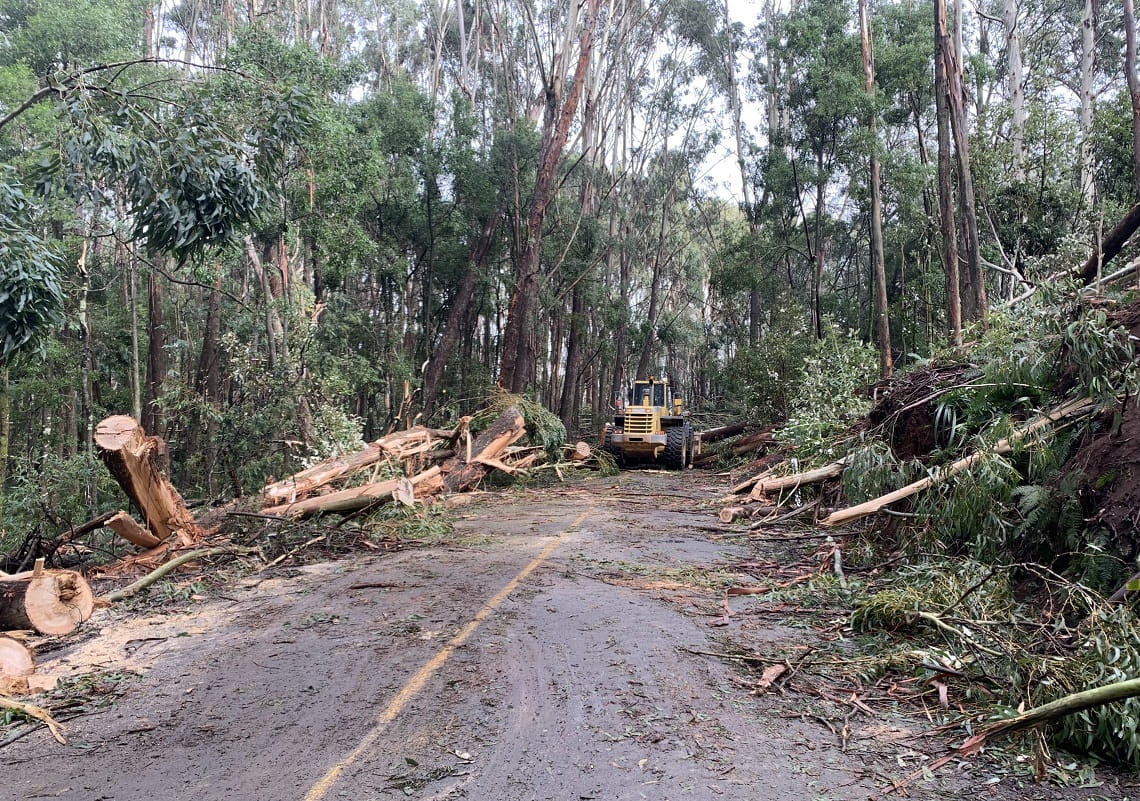 Storm recovery works - Macedon Regional Park 2021