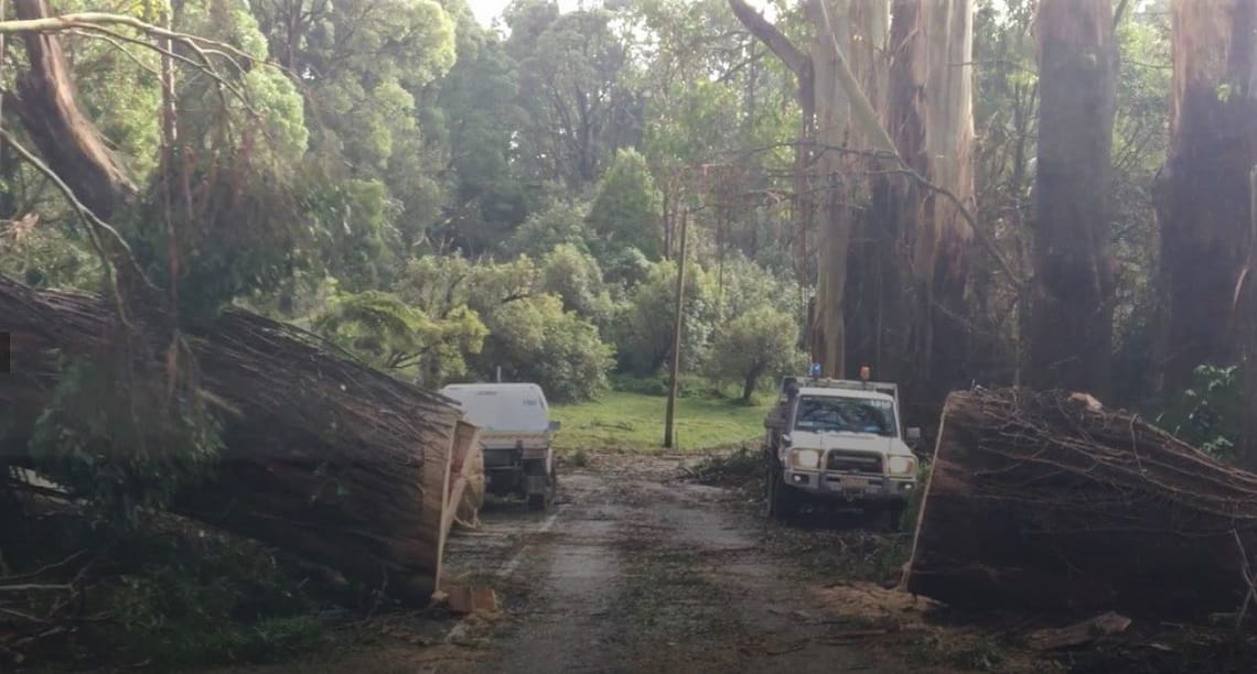 Storm recovery - Olinda Dandenong Ranges NP