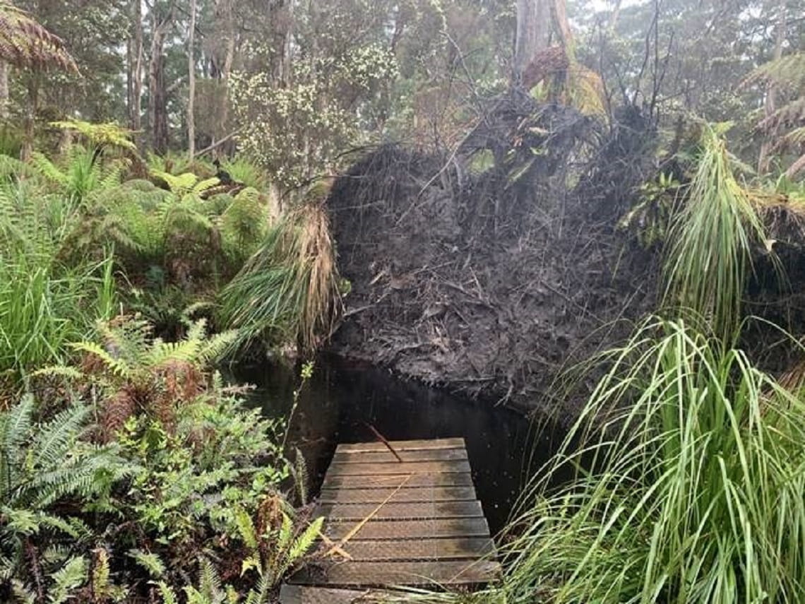Storm recovery Sealers Cove The Prom