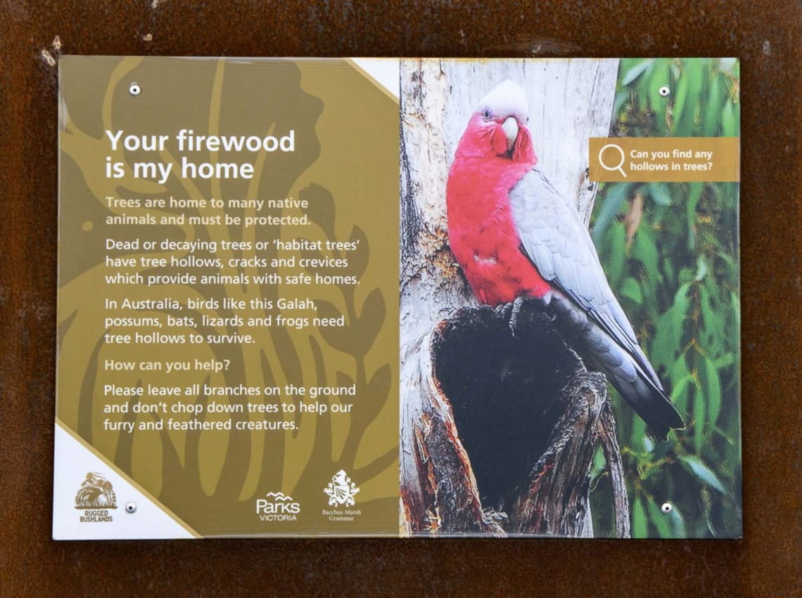 Signage which explains the purpose of habitat trees featuring a photo of a Galah