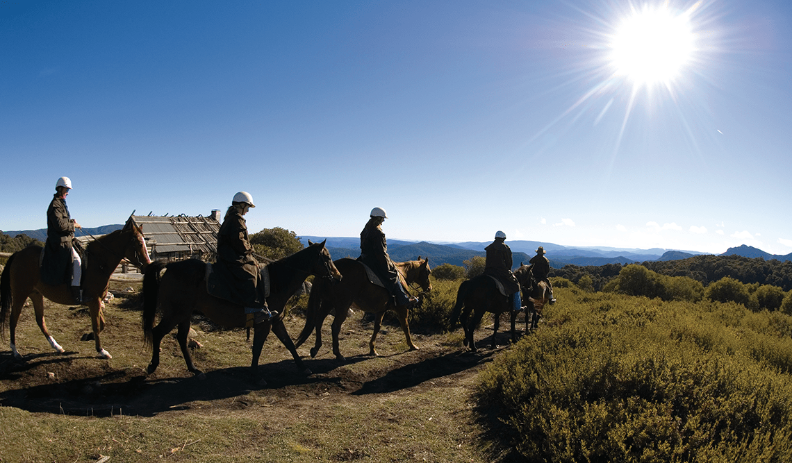 A line of horse ridings in the alpine region