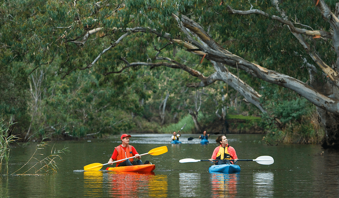 A couple kayaking along the Yarra River
