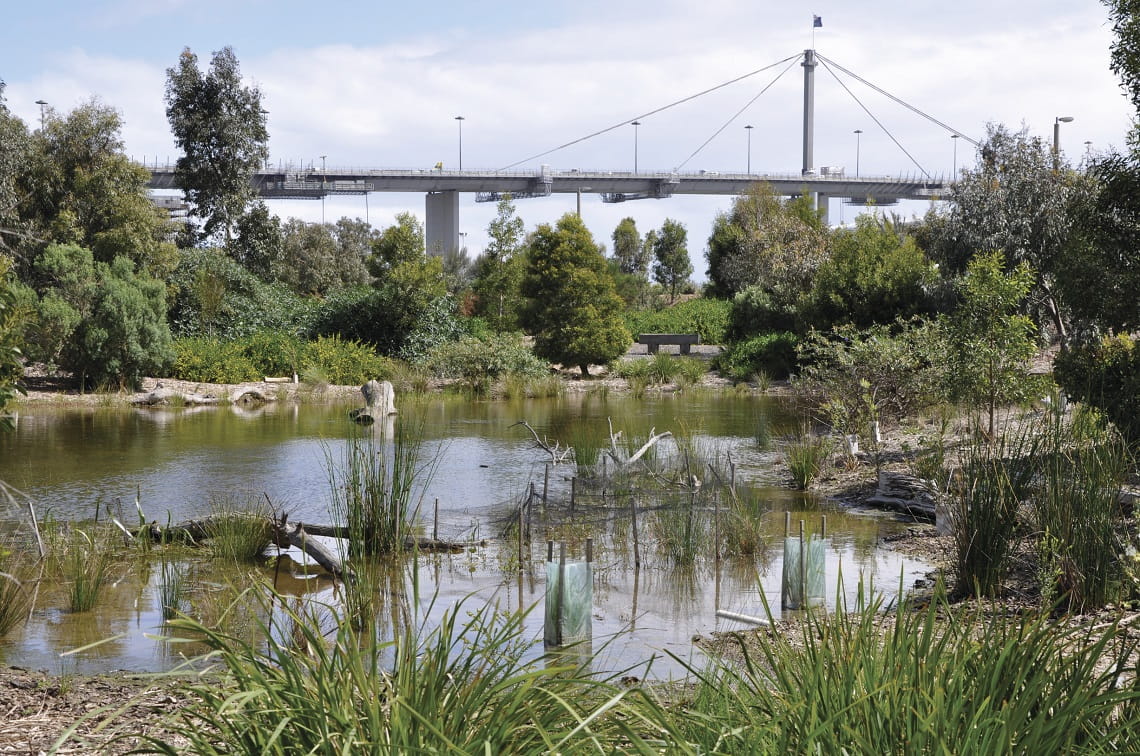 A pond surrounded by vegetation. A raised bridge in the background.