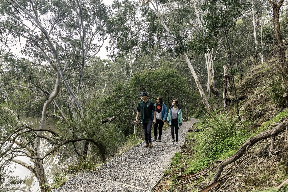 A Parks Victoria volunteer leads two visitors along a trail at Yarra Bend.