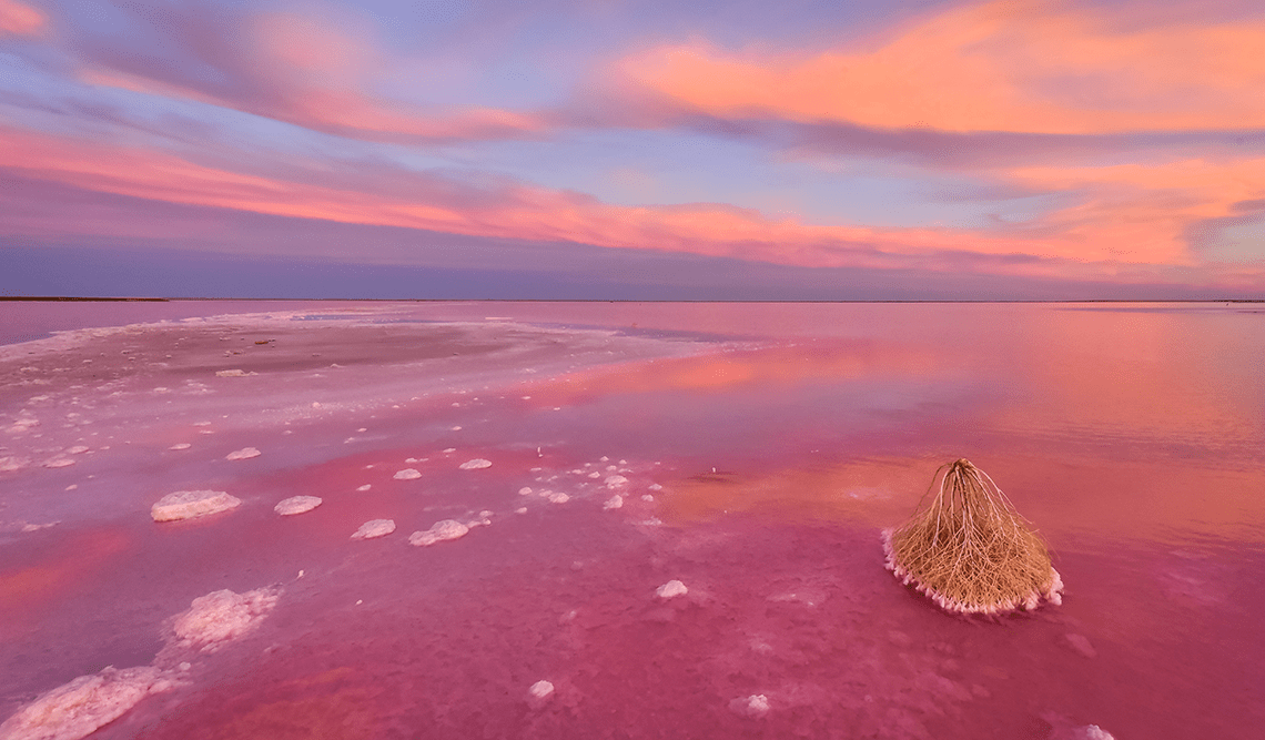 Aerial view of Lake Tyrrell while the lake is pink