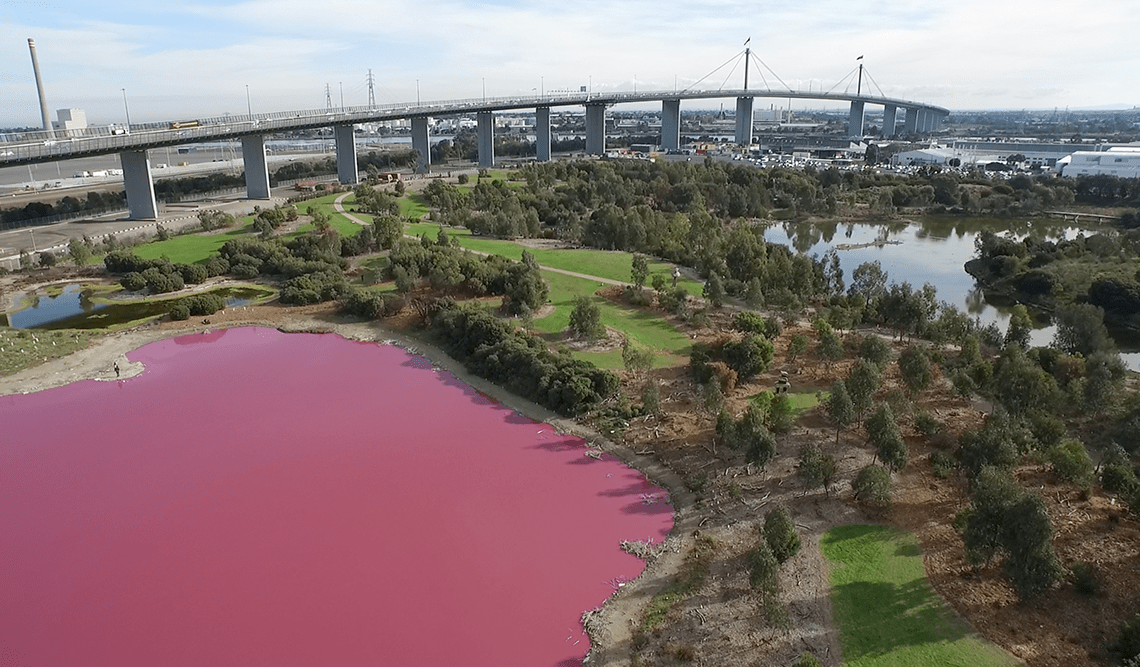 Aerial view of the pink lake at Westgate Park