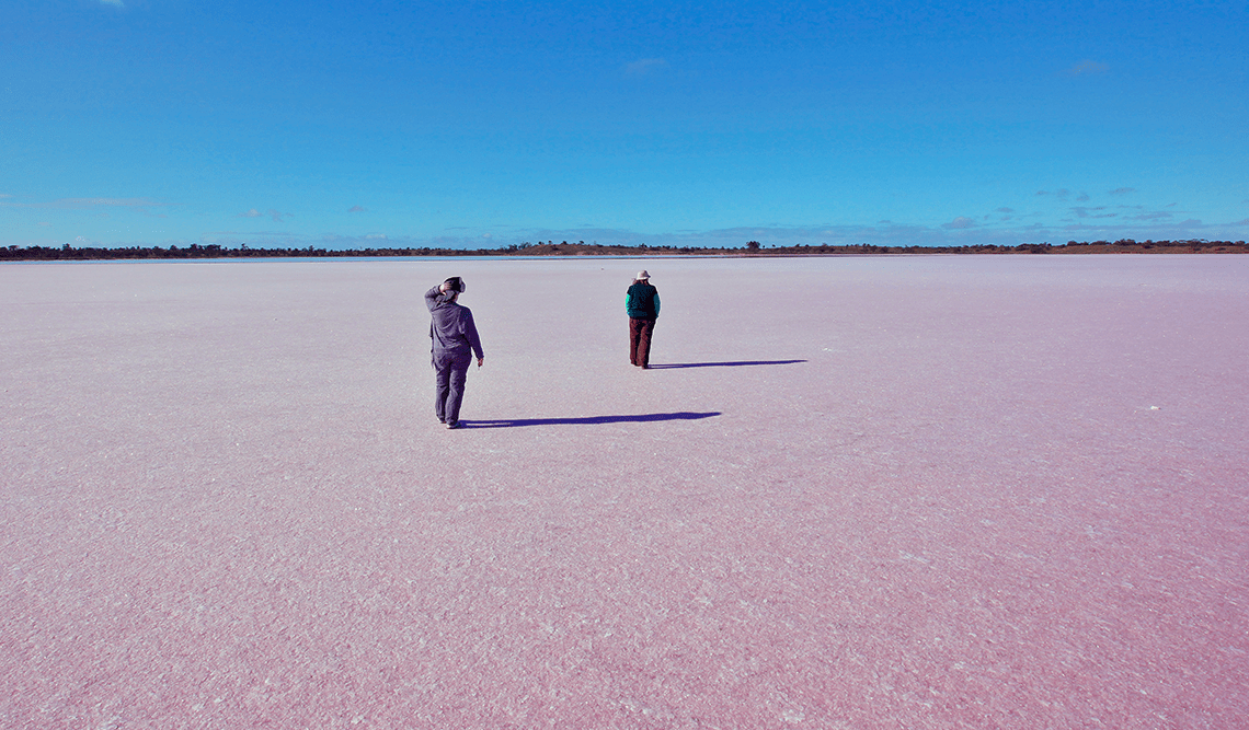 What Makes Salt Lakes Pink?