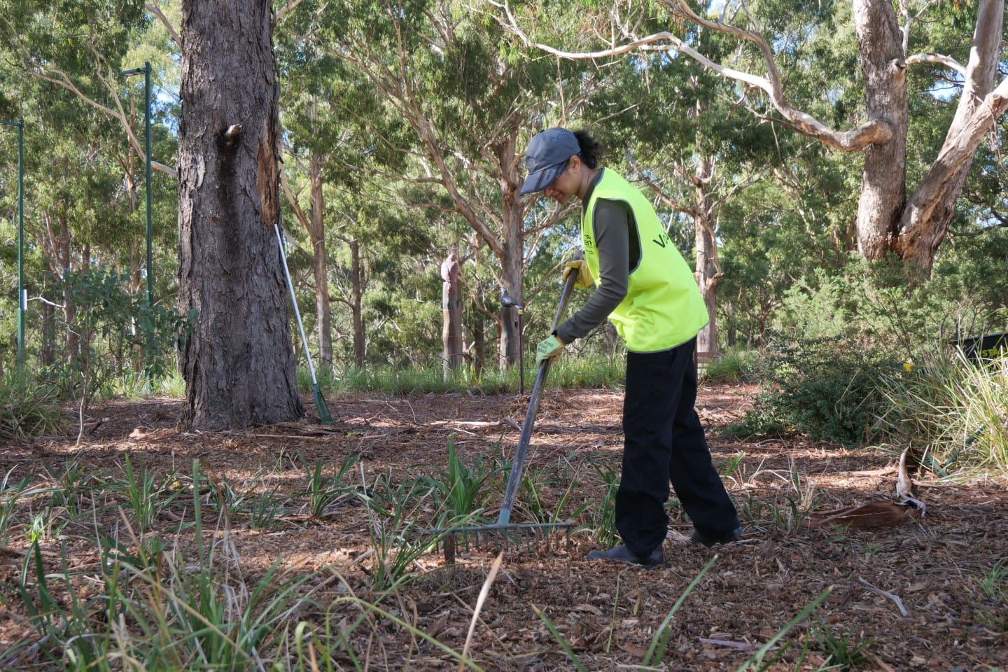 Judith volunteering for the Track Ranger program in Wattle Park.