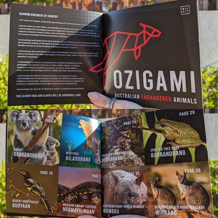 The origami book opened, a blurb about the book and animals that are featured.