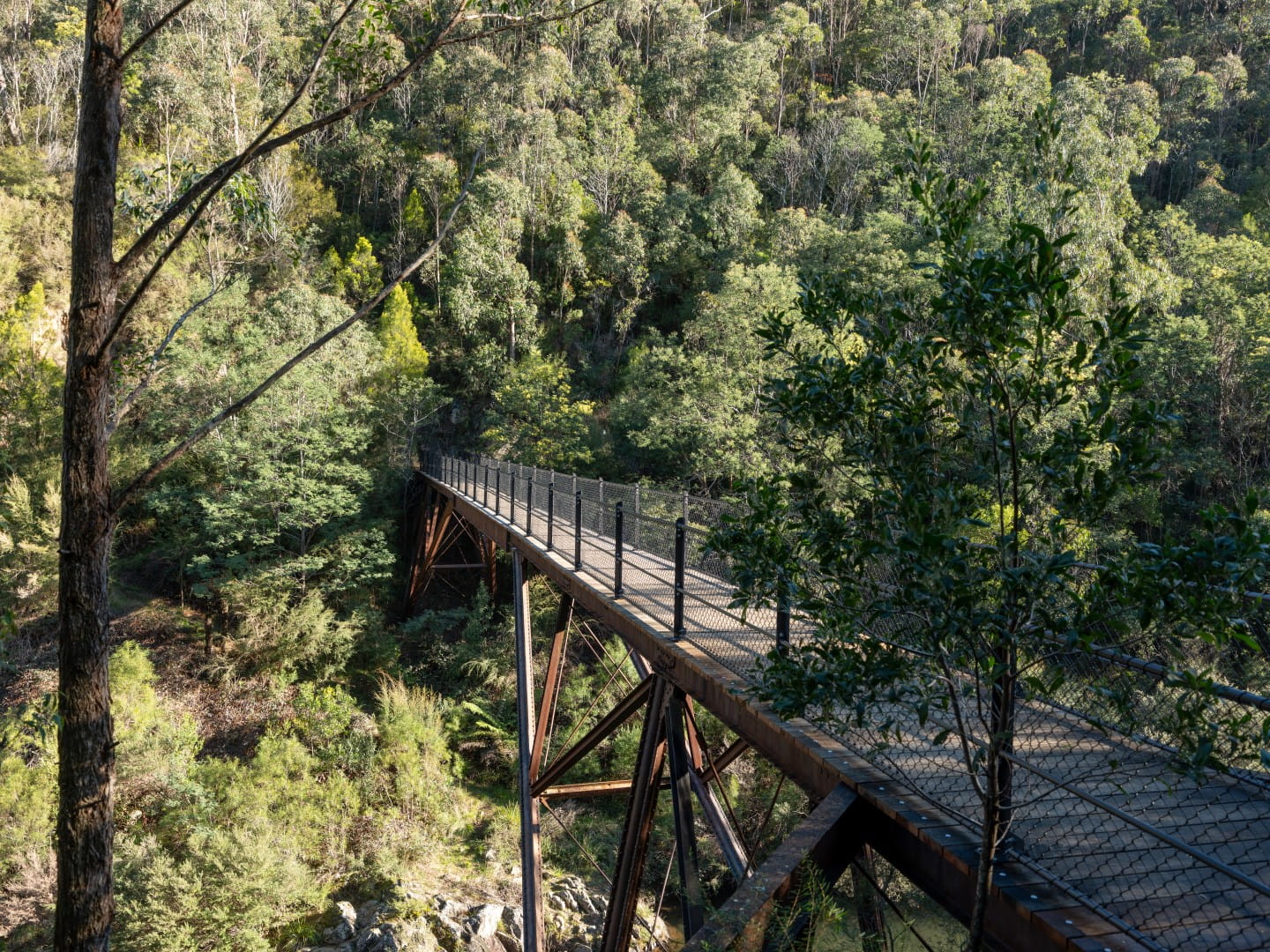 Walhalla Tramway Bridge (also known as Poverty Point bridge)