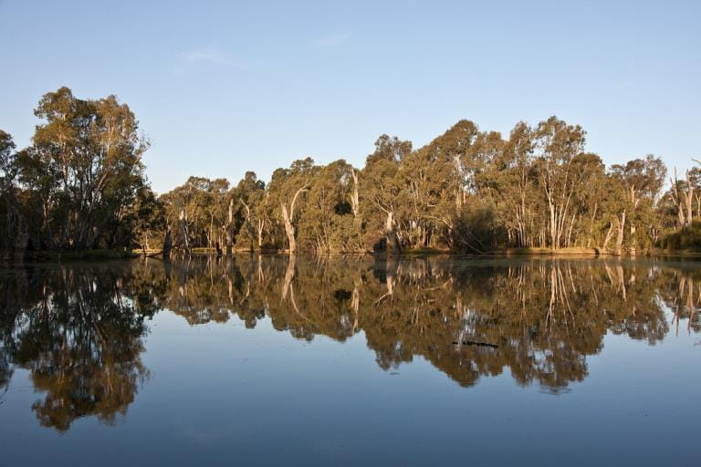 Warby Lower Ovens Reflections