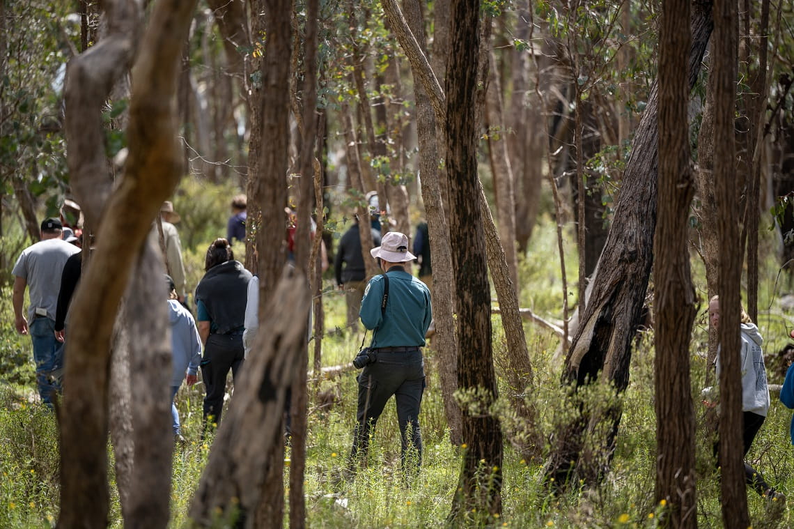 Wildflower walk in Warby-Ovens National Park