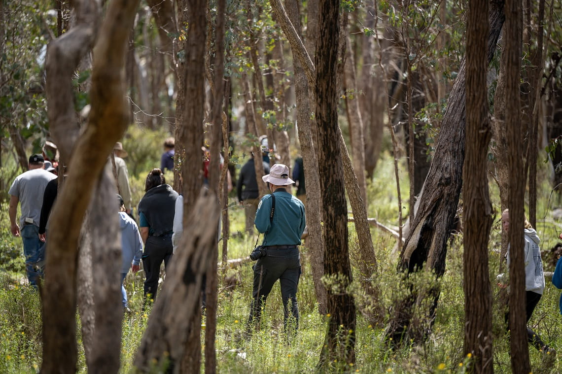 Wildflower walk through Warby-Ovens National Park