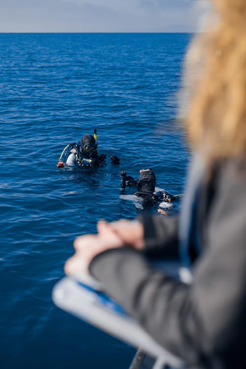 Two Parks Victoria rangers in water at Port Phillip Heads Marine National Park