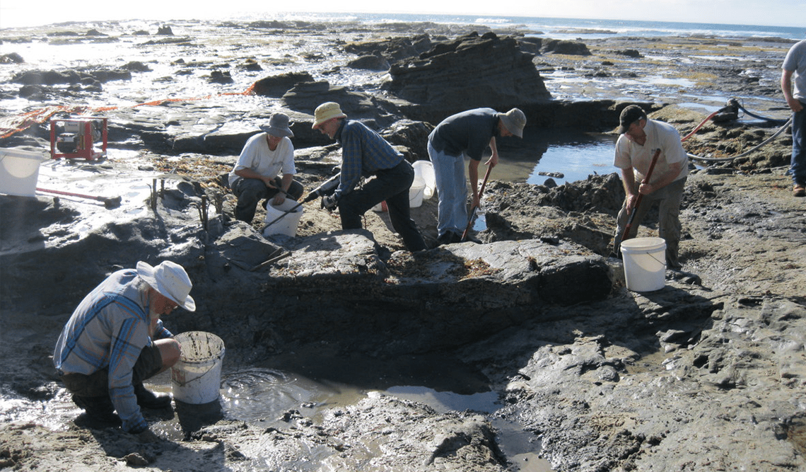Researchers prepare a dig site at Yallock-Bulluk Marine and Coastal Park