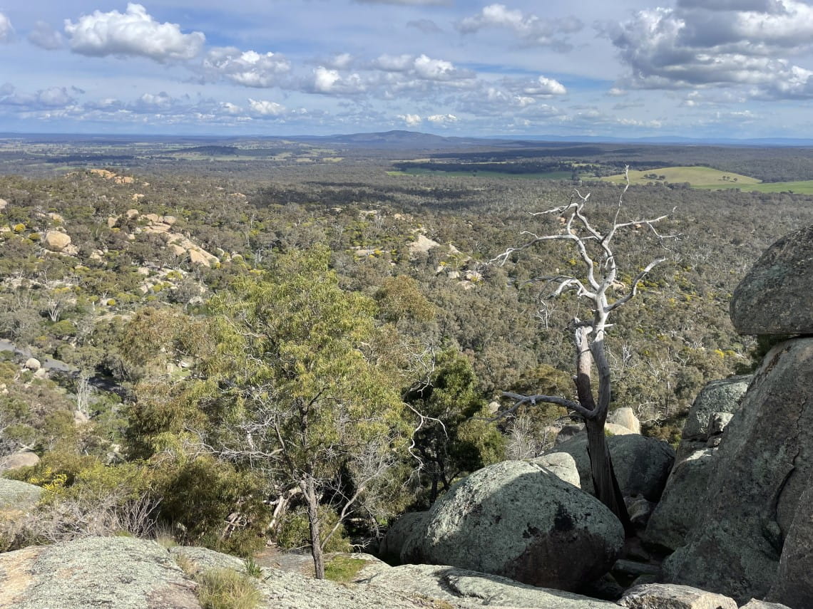 A landscape shot taken of a large landscape comprising of green trees and large rock formations