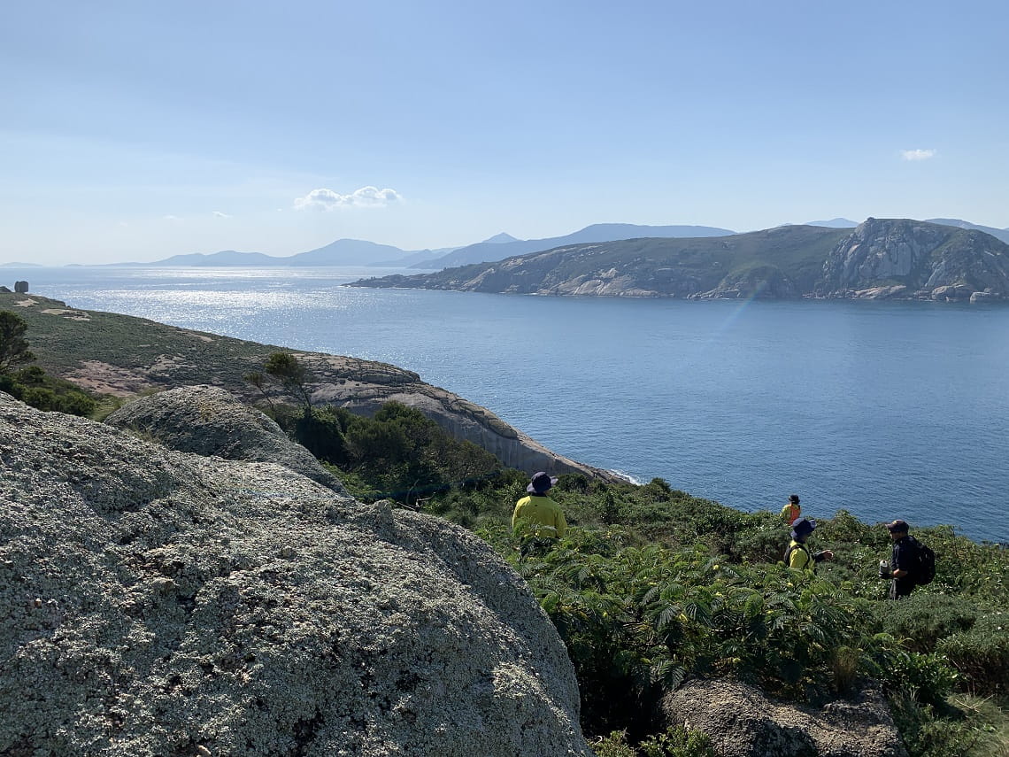 Four Parks Victoria rangers standing amid vegetation on Kanowna Island, with the sea and Anser Island in the background