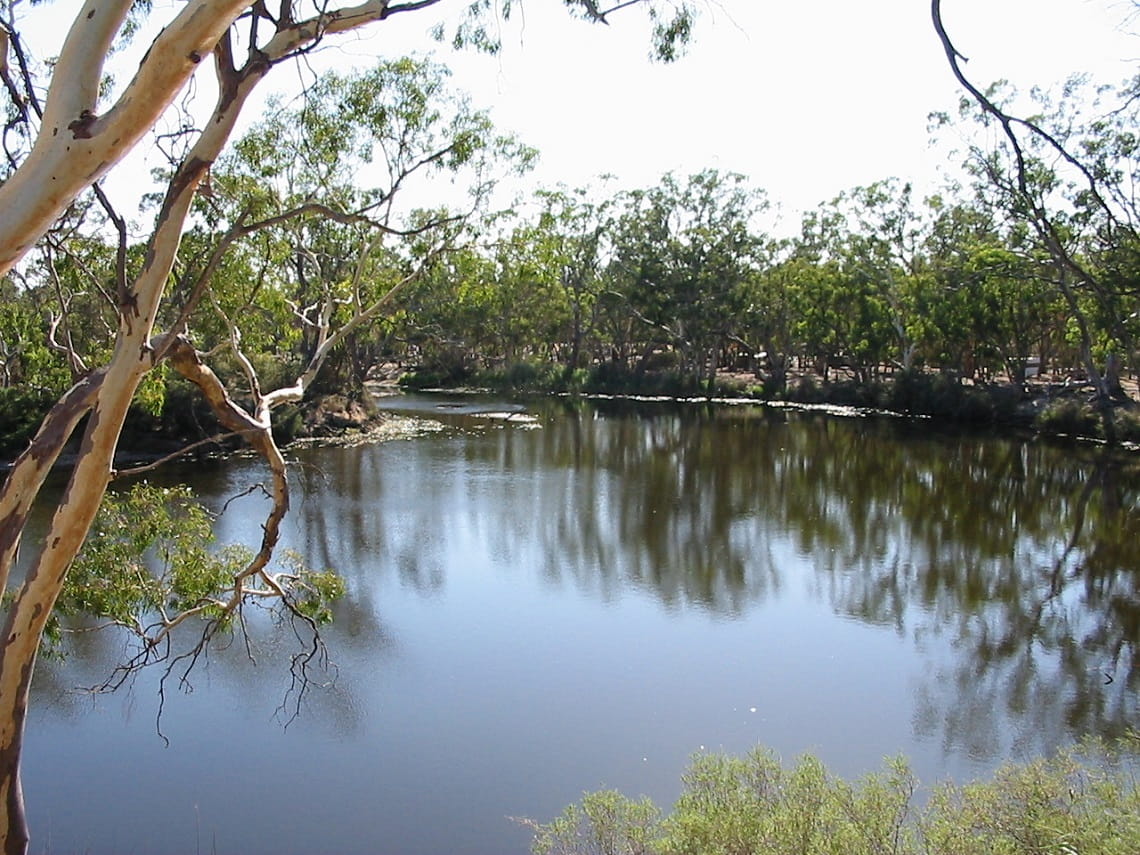 The Wimmera River with gumtrees all along the river banks.