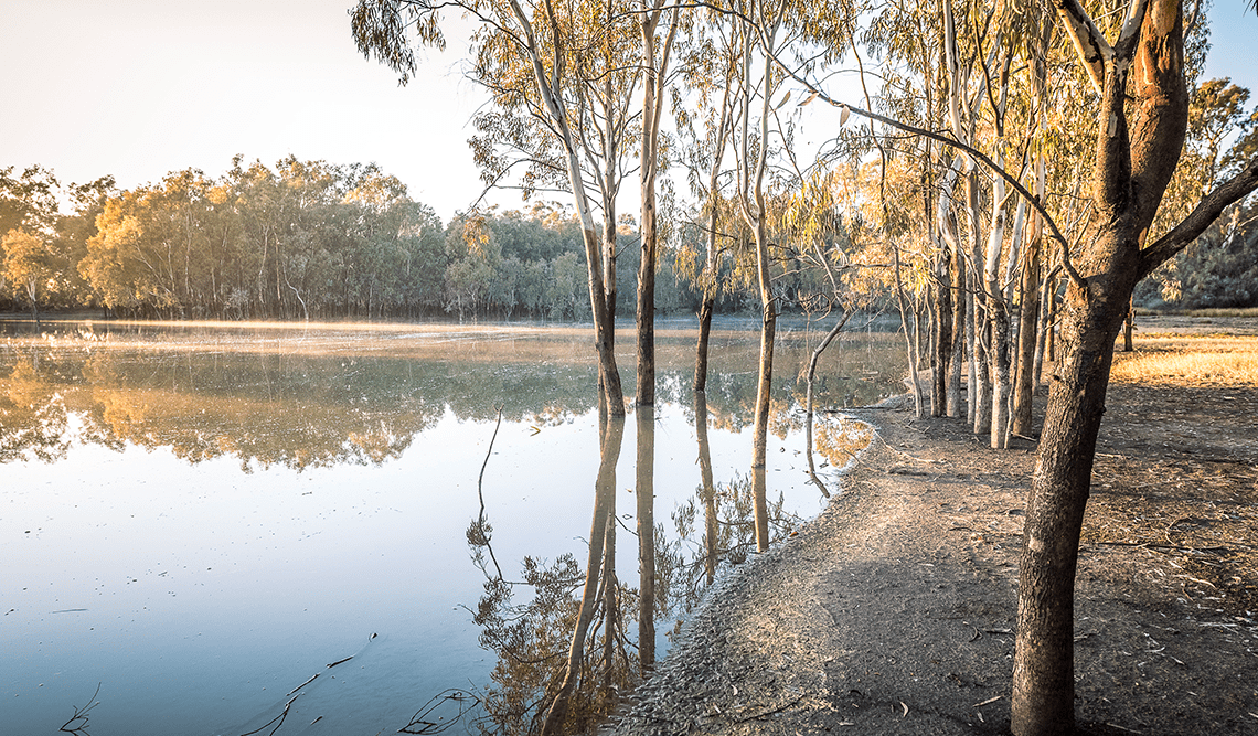 Trees by the water in Hattah-Kulkyne National Park