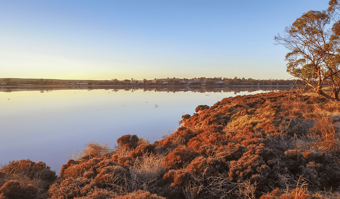 View over the lake and scrub at sunset in Murray-Sunset National Park