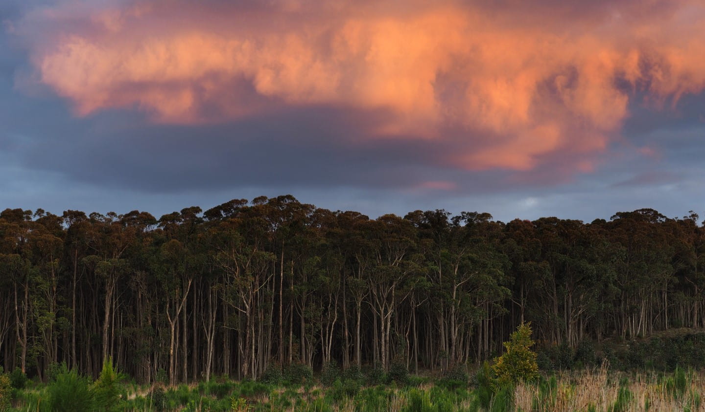 Woowookarung Regional Park.