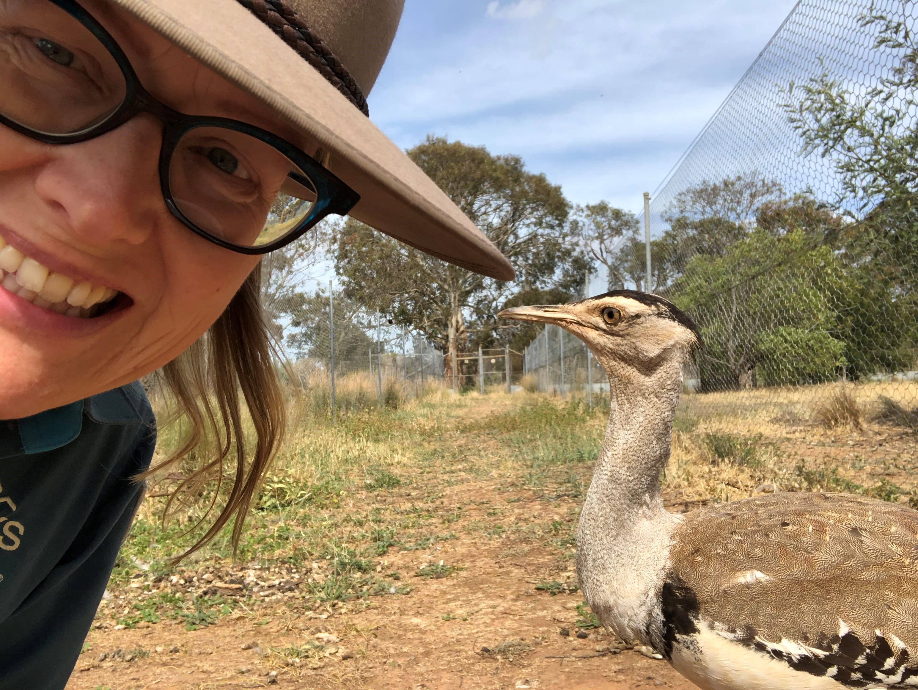 Ruth with a bustard