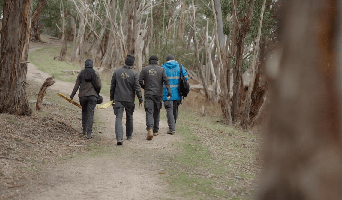 Four cultural heritage rangers walking on Dja Dja Wurrung Country