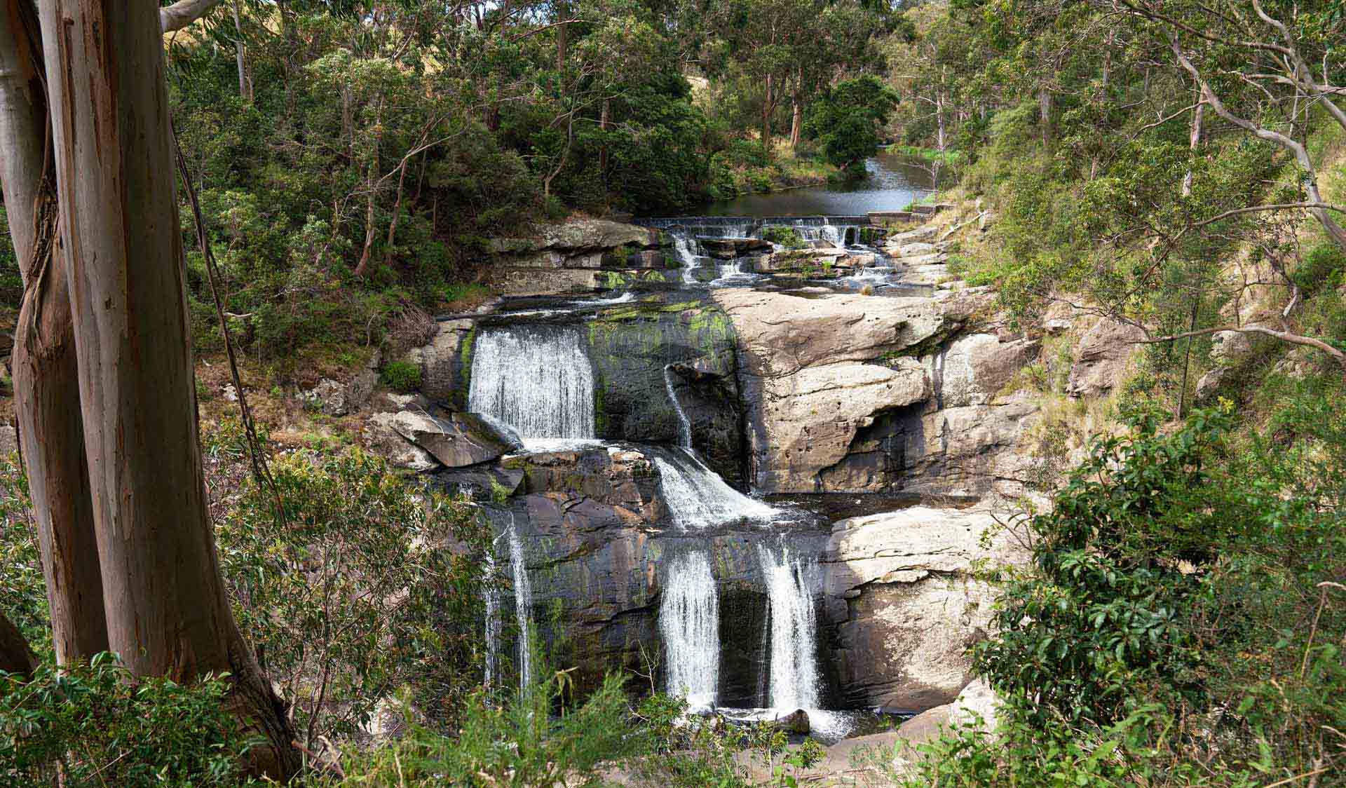 The waterfall at Agnes Falls Scenic Reserve