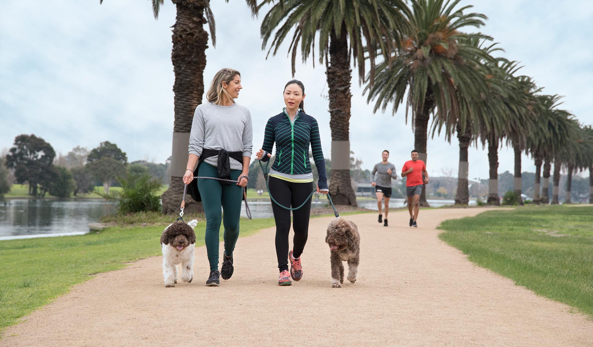 Two women in activewear walk their dogs while two runners approach them.