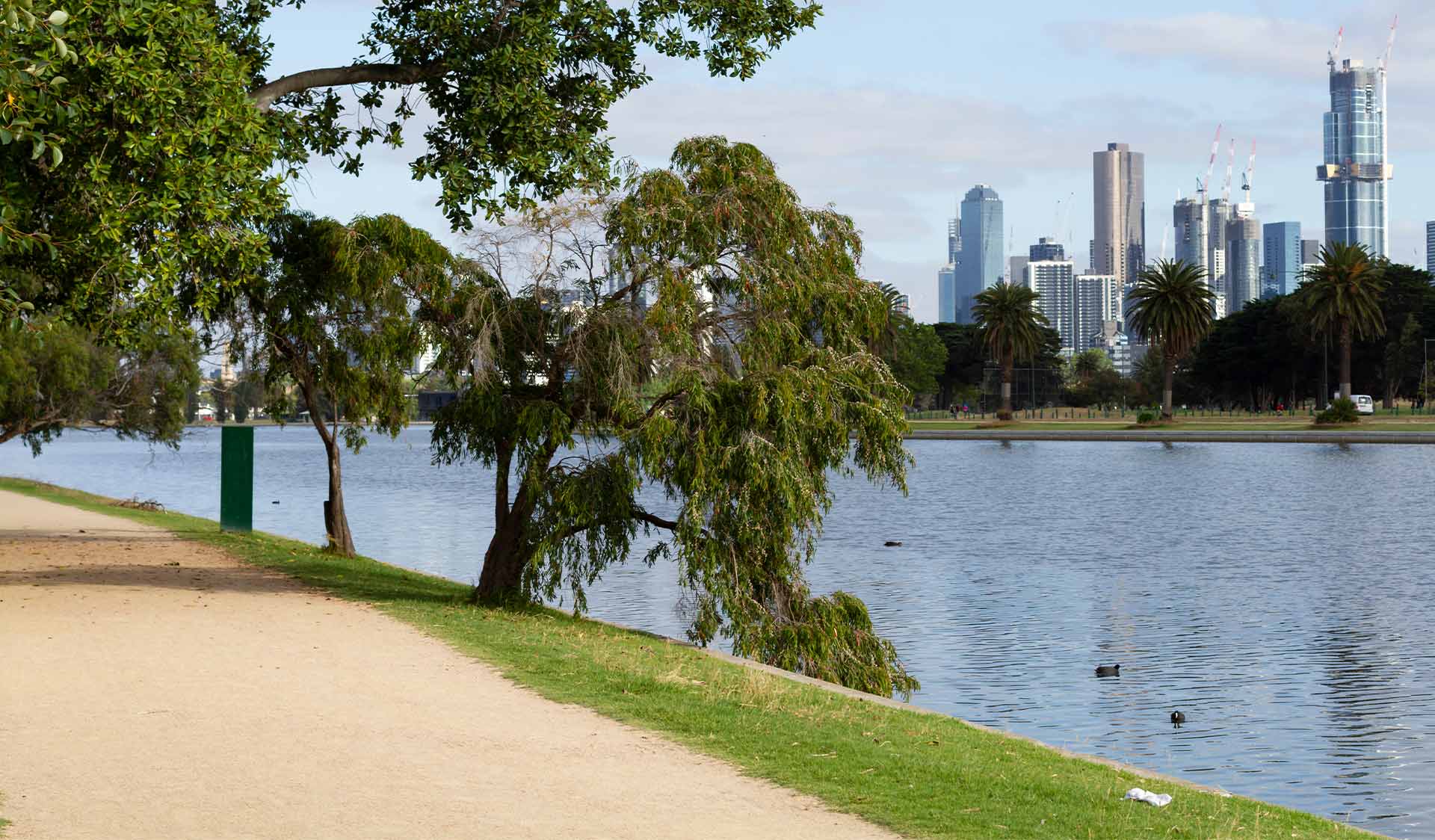 A walking path alongside Albert Park Lake with the Melbourne CBD skyline in the background