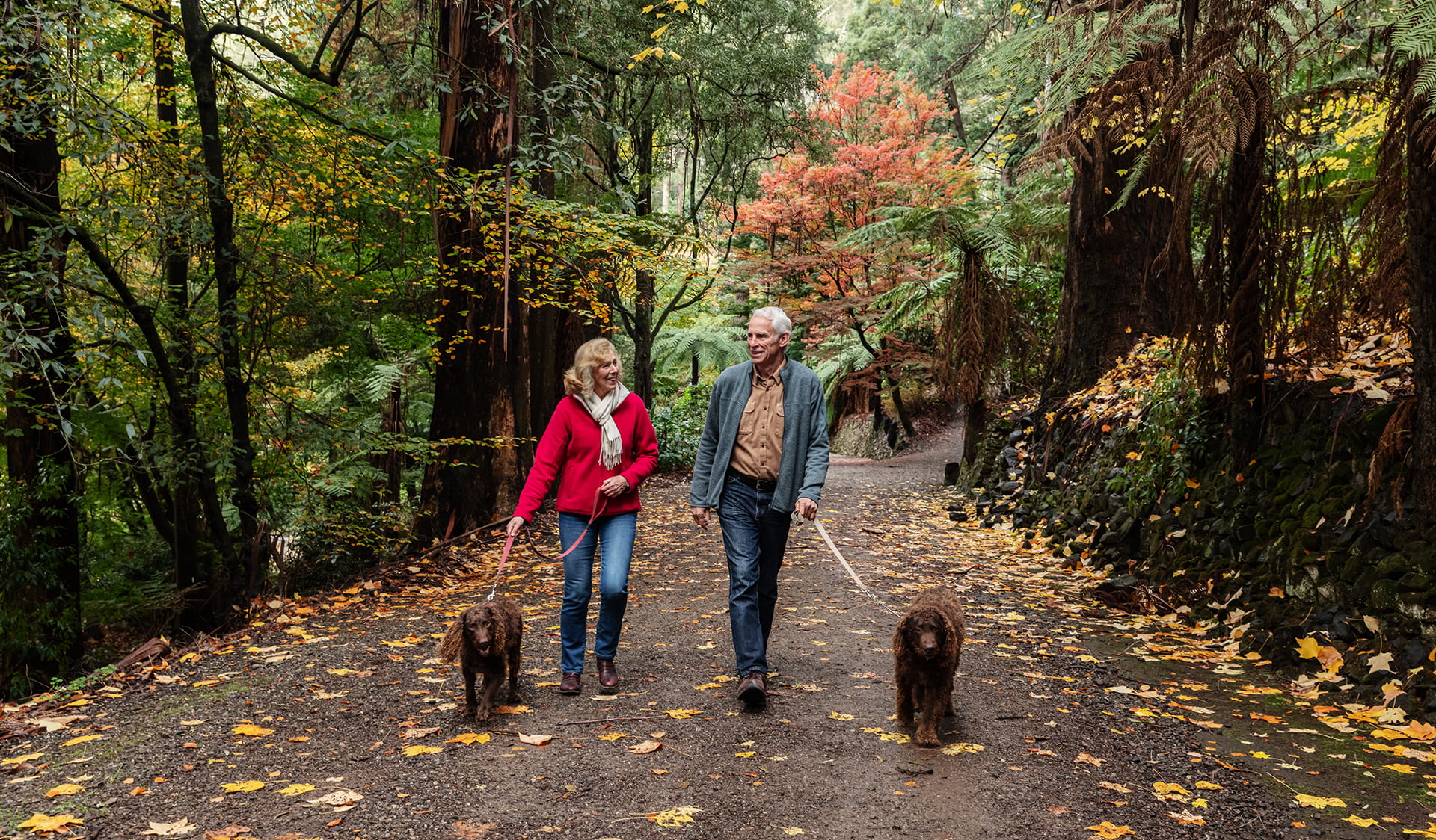 Couple walking with dogs on lead along a garden path with autumn leaves.