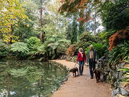 Couple walking dogs near lake at Alfred Nicholas Memorial Garden