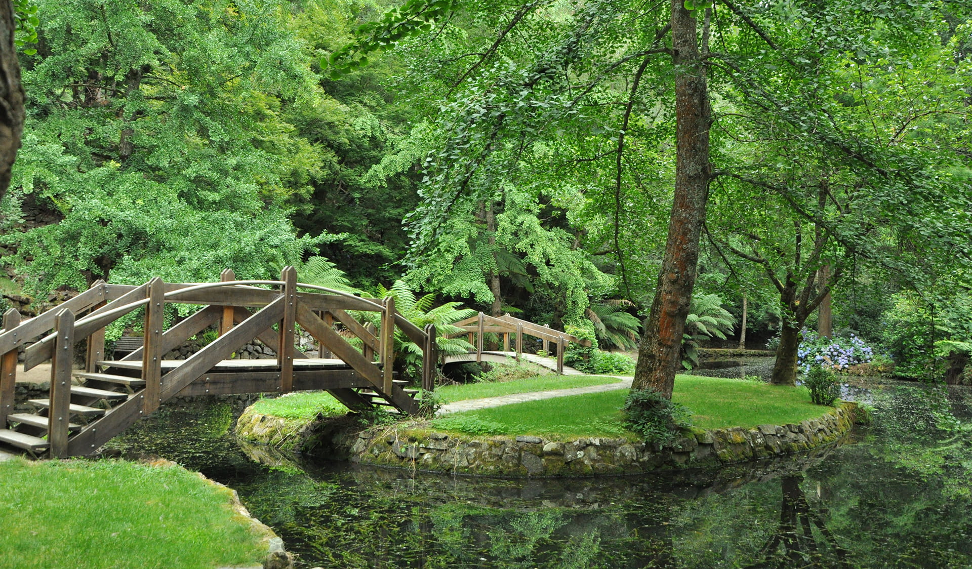 The lake and linking bridge at Alfred Nicholas Memorial Garden