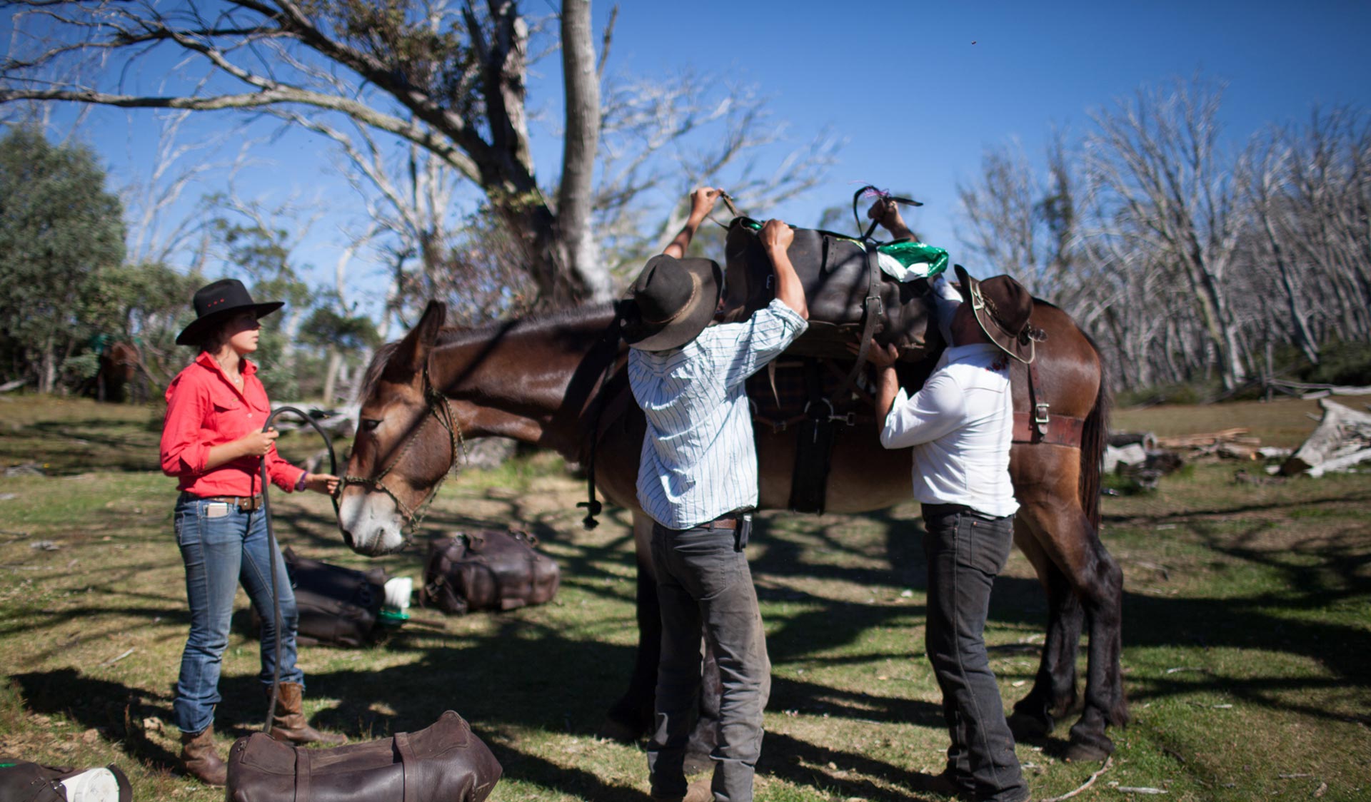 Three horseriders saddle-up a pack horse before the day's riding.