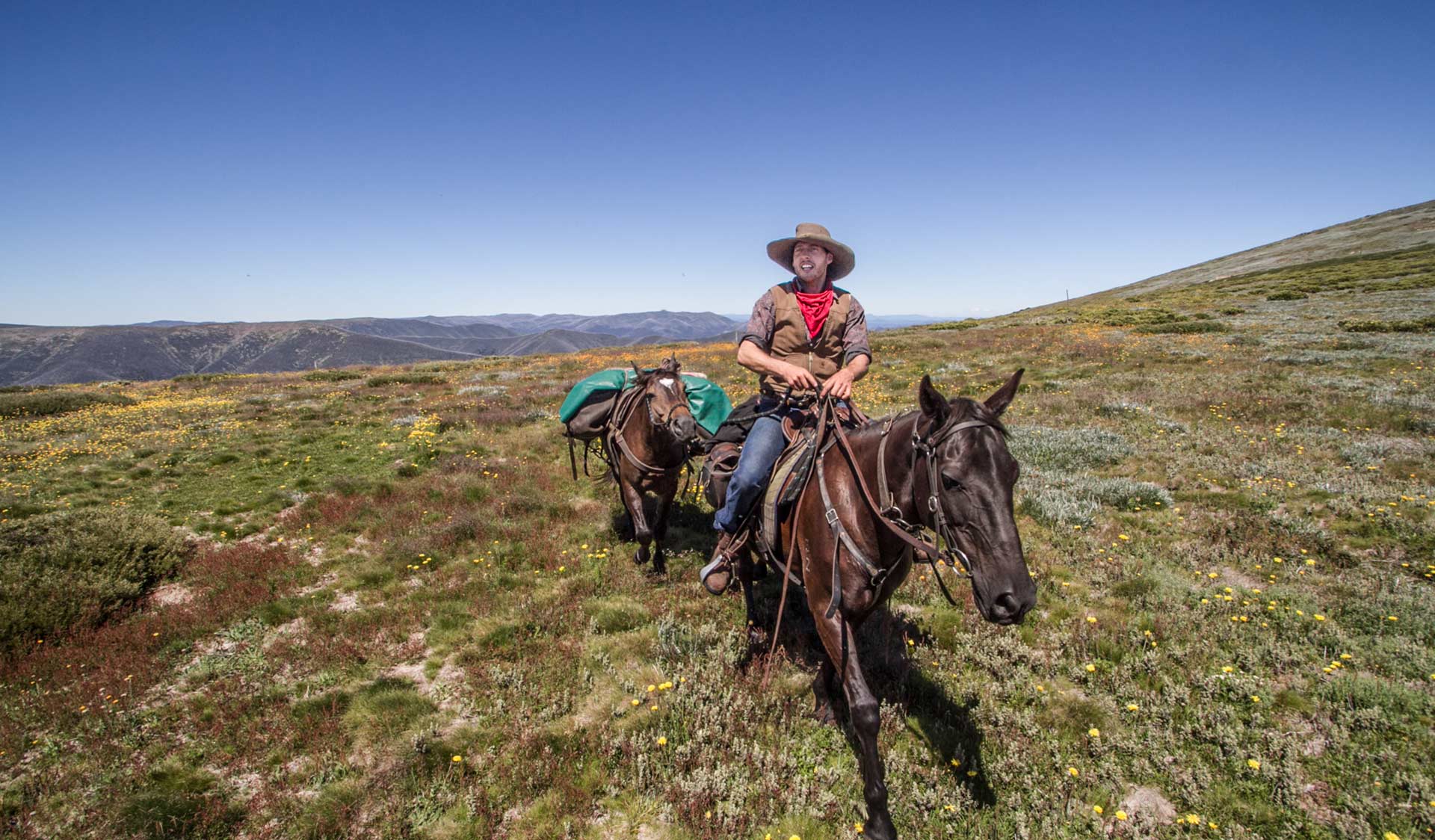 A man on a horse leads another horse across the Bogong High Plains.