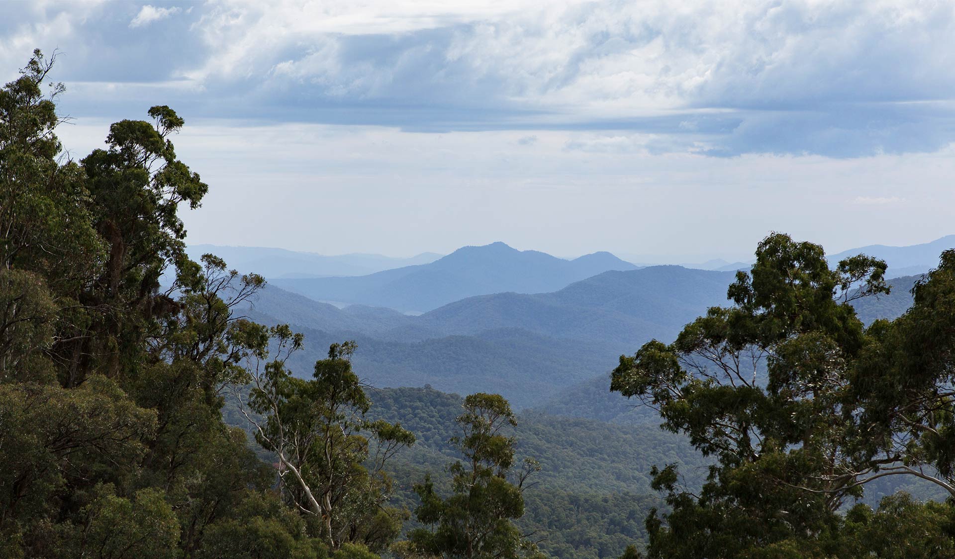 The view of Mt Buffalo from the summit of Mt Cobbler near the headwaters of the Dandongadale River.